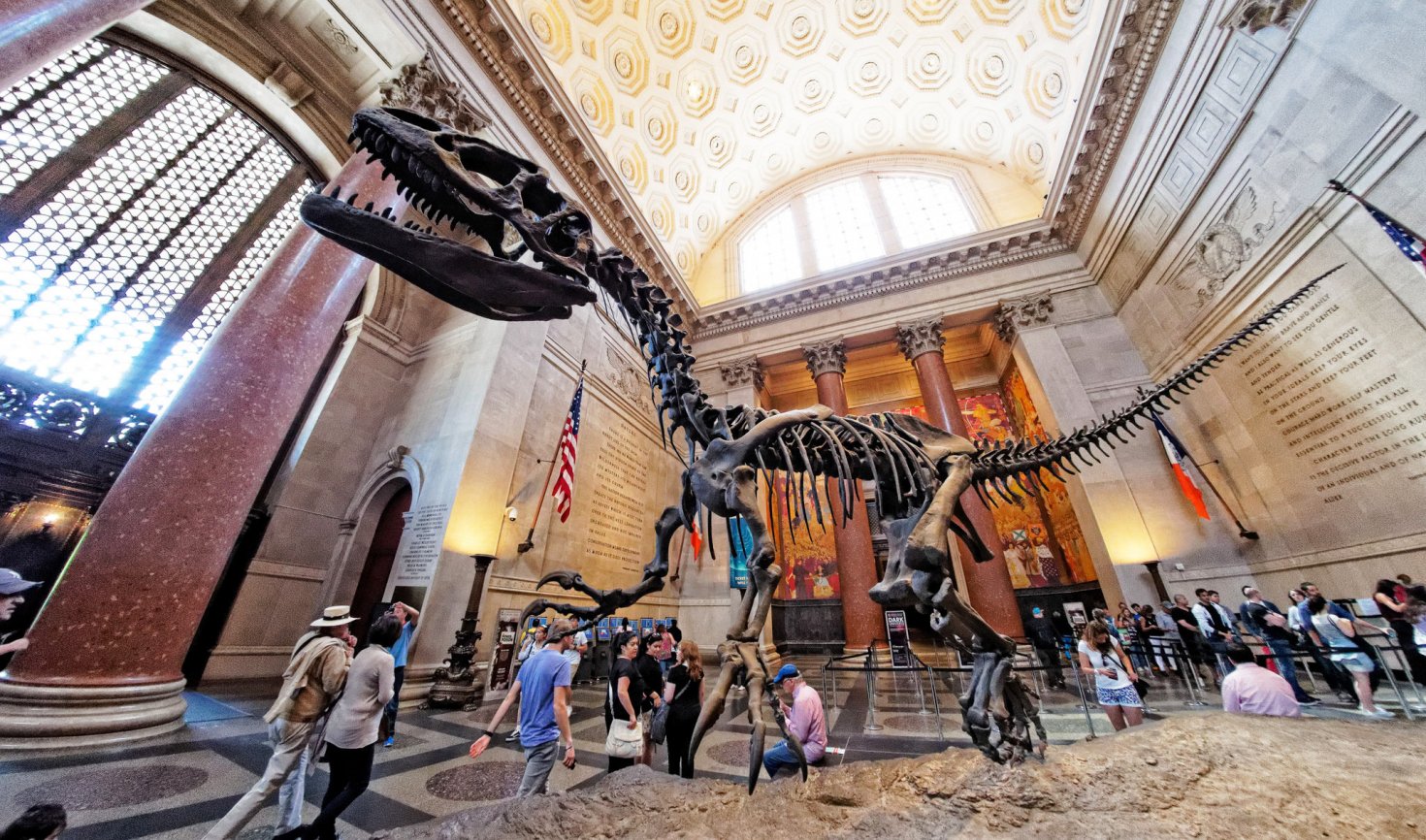 New York American Museum of Natural History New York American Museum of Natural History
