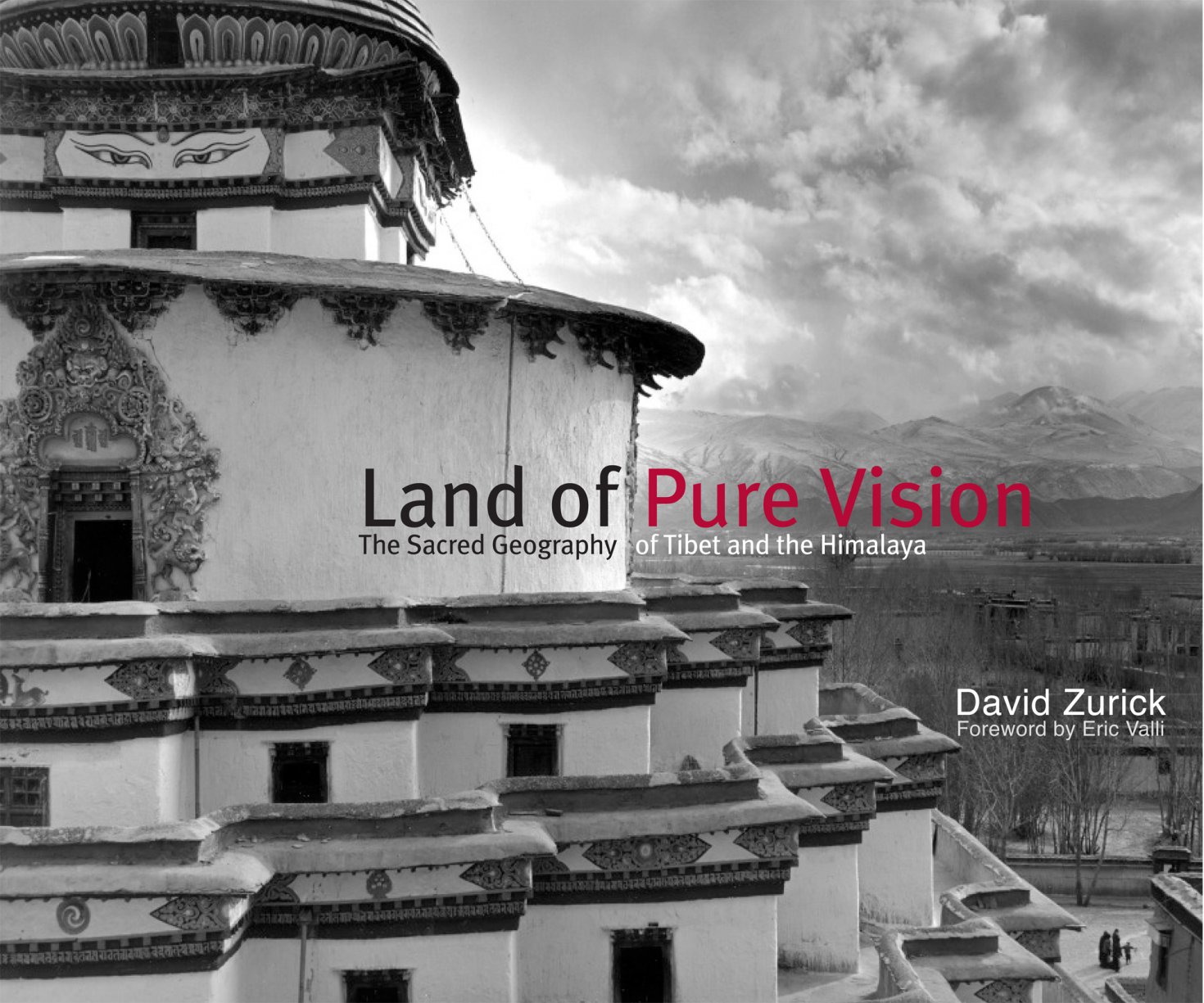 Pure Vision Arts an initiative of The Shield Institute