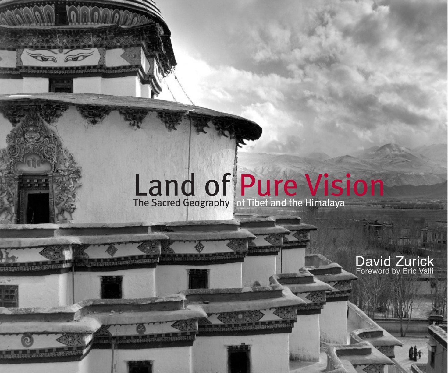 Pure Vision Arts an initiative of The Shield Institute Pure Vision Arts an initiative of The Shield Institute