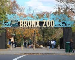 Bronx Zoo