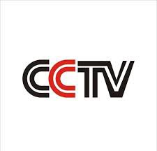 cctv logo