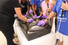 Hands on touch tour of a reclining bronze sculpture
