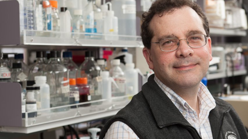Man in front of pharmacy shelves